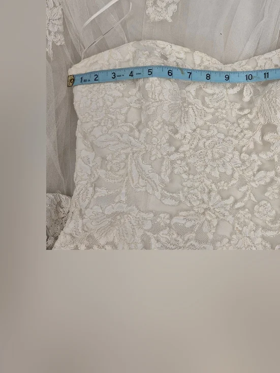 Pronovias Alcanar Lace & Tulle A-Line Wedding Dress - US 12 - Bustle Ready - Picture 12 of 16